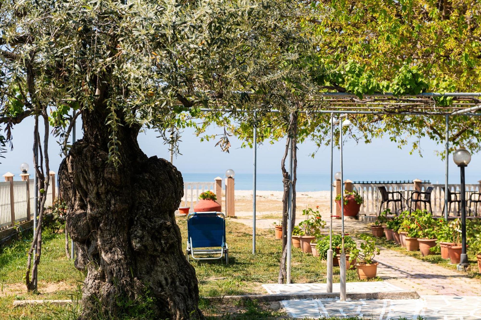 Opalium Beach Front Suites Potós Eksteriør bilde